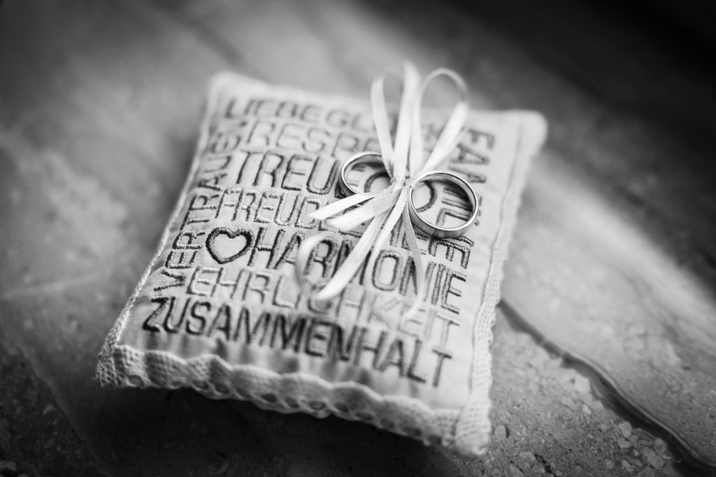 florian holl - hochzeitsfotograf florian holl hochzeitsfotograf fotograf hochzeit hochzeitspaar brautpaar heiraten goettingen kassel baunatal loewenhof Lohfelden 20